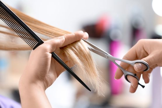 die Schnibbelstub Ihr Friseur in Elmshorn Leistungen Damen